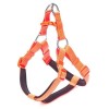 Doggie Comfort Dokuma Ronin Köpek Göğüs Tasması Large Turuncu 2x55-65 Cm