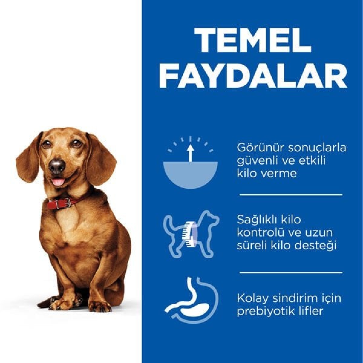 Hills Adult Perfect Weight Mini Tavuklu Küçük Irk Yetişkin Köpek Maması 1.5 Kg