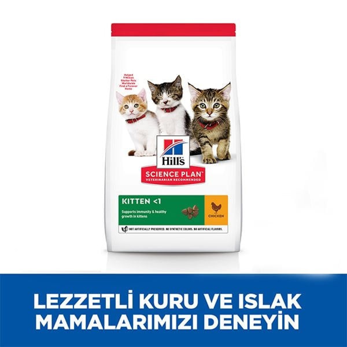Hills Kitten Tavuklu Yavru Kedi Maması 1.5 Kg