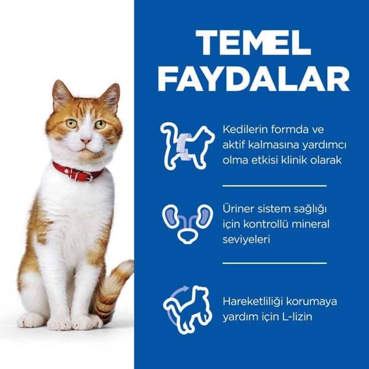 Hills Young Sterilised Tavuklu Kısırlaştırılmış Kedi Maması 1.5 Kg