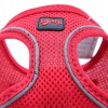 Tailpetz Air Mesh Harness Köpek Göğüs Tasması Xxsmall Kırmızı 24-28x28-32 Cm